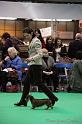 Crufts2011_2 1344